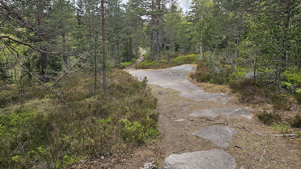Her hadde det vært perfekt å sykle på berget, og jeg så masse sykkelspor