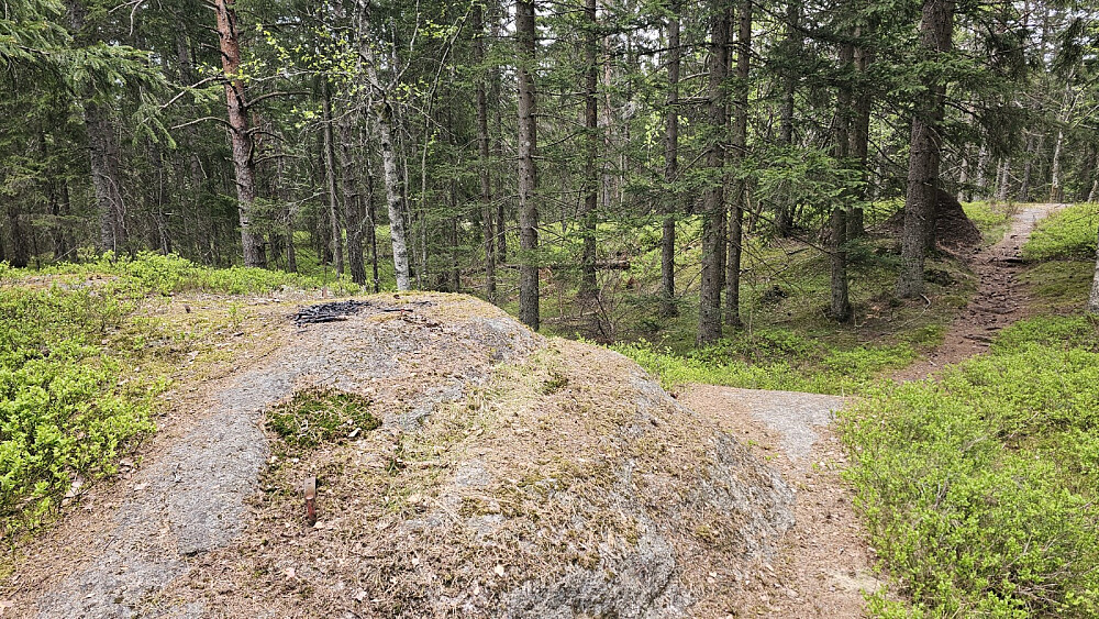 Bålrester på toppen av Brennåsen