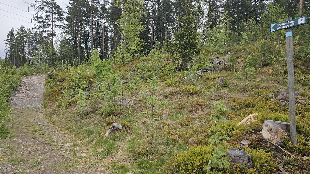 Tok til venstre i første stikryss. Deretter ble det mye navigering i stikryss uten skilt