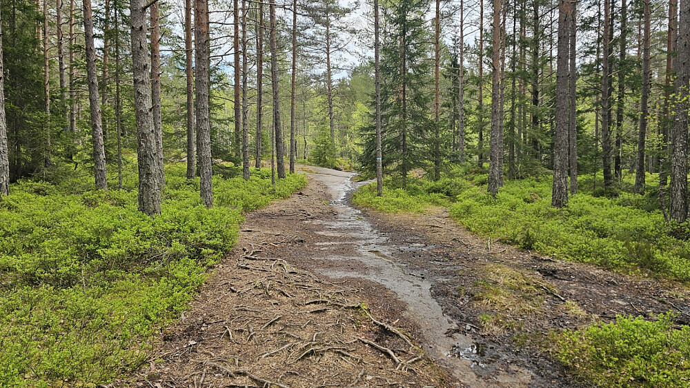 Det hadde gått fint å sykle den første kilometeren