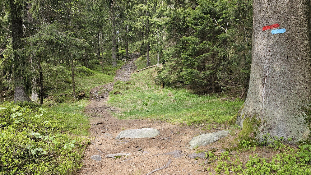 Rett før Granberget var stien også merket med rødt