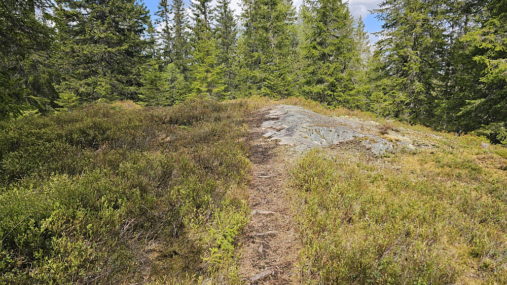 Toppen av Granberget