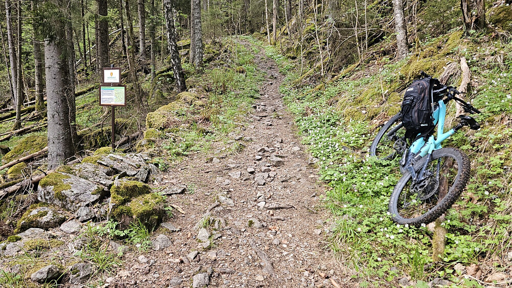 Etter 2 kilometer kom jeg inn i naturreservatet, og valgte å sette igjen sykkelen