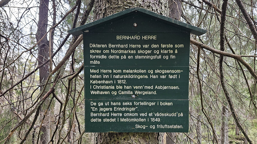 Litt info underveis
