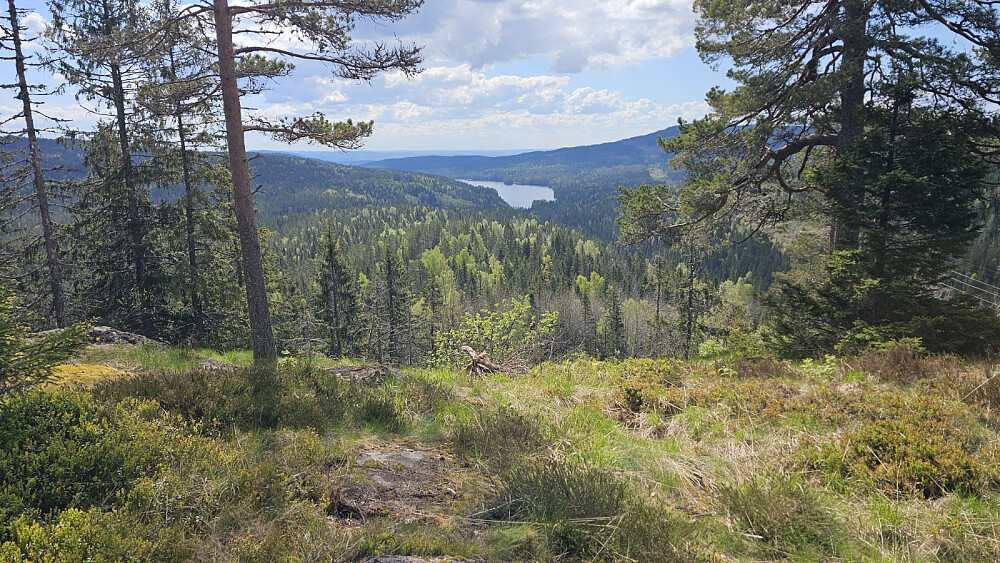 Når jeg først var her ble det en tur oppom Storhaugen. Flott utsikt ned på Skjersjøen