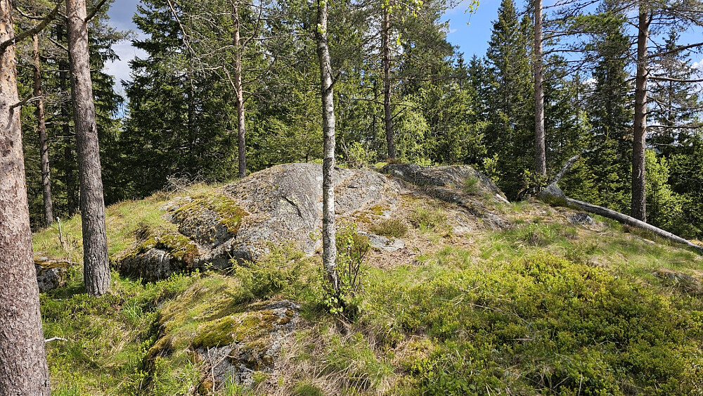 Høyeste punktet på Storhaugen
