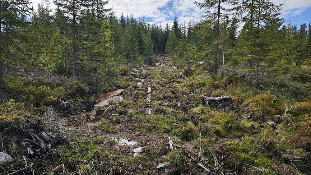 Det som en gang var en sti var nå mer en grøft av gjørme