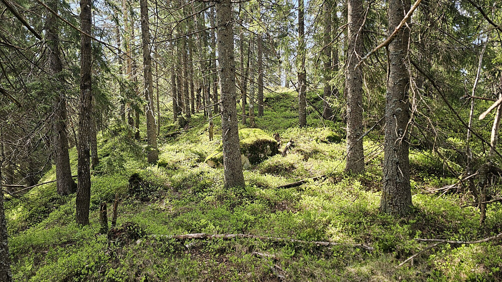 Siste biten på toppryggen gikk litt lettere