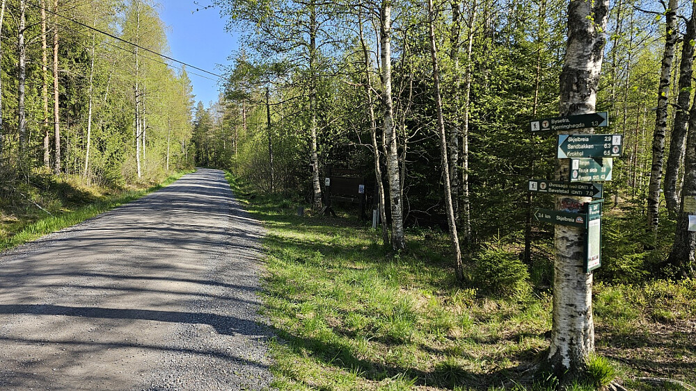 Ved Vangen satte jeg igjen sykkelen og tok beina fatt innover skogen