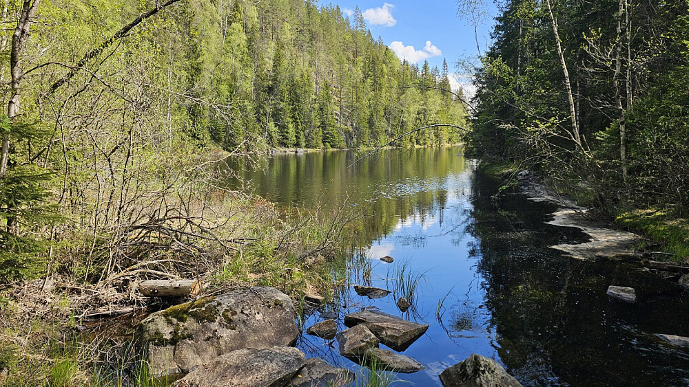 Veldig idyll her inne ved Svartoren