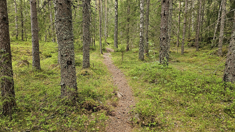 Noen fine partier var det innimellom, men jeg måtte av sykkelen mange ganger på tur inn