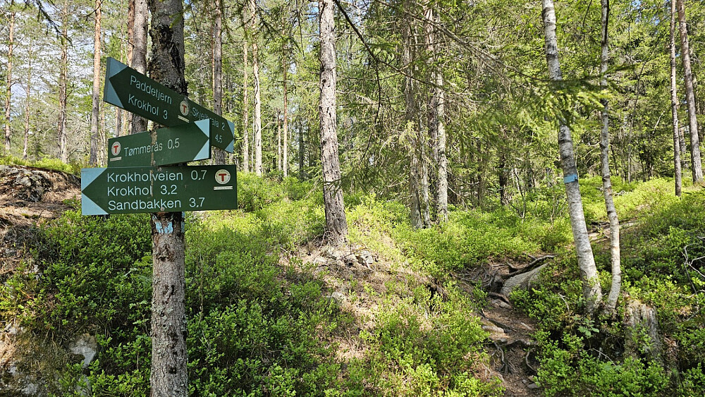 Jeg valgte å legge det opp som en rundtur for å plukke med meg noen stolper