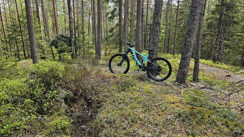 Avstikker opp på langfuruåsen