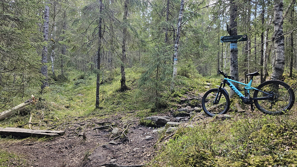 I stikrysset her tok jeg en avstikker for å få med en svart stolpe