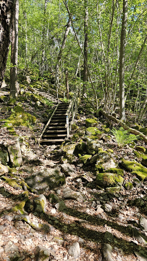 Da var det bare å ta fatt på trappene igjen, denne gangen opp