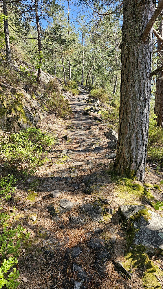 Ganske fin sti opp berget