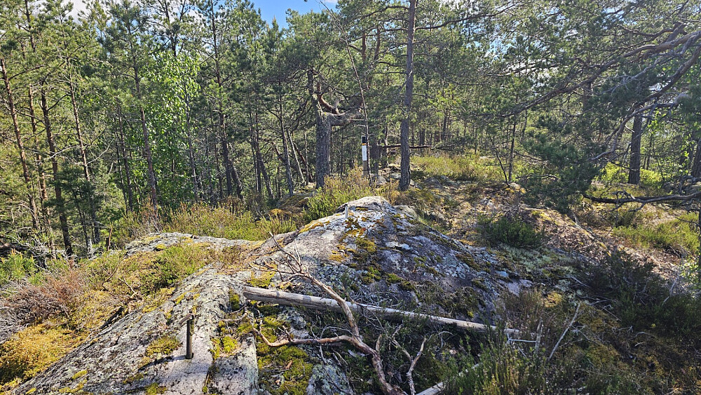 Svart stolpe på toppen av Omsåsen