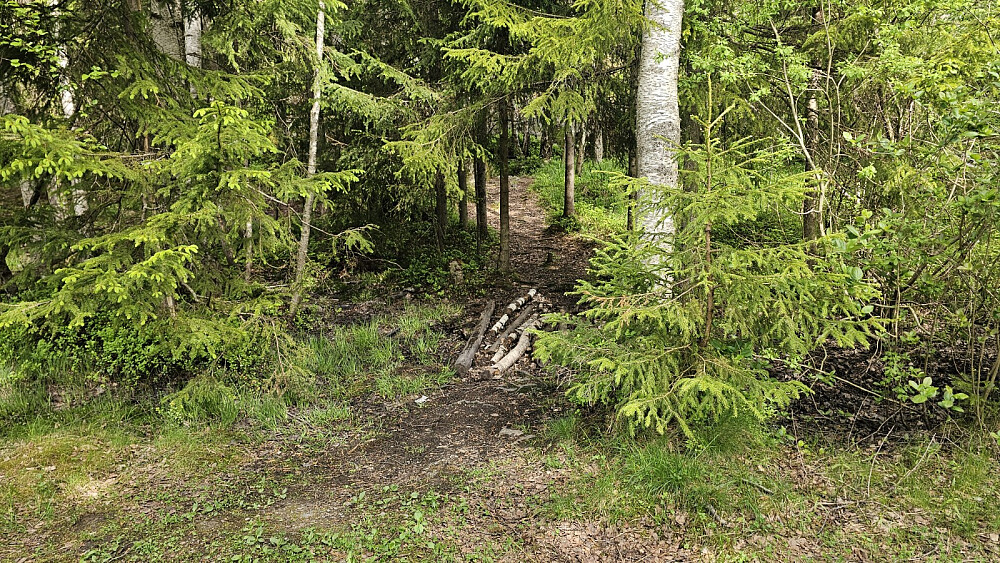 Ved parkeringsplassen var det en sti som tok meg opp på ryggen av åsen