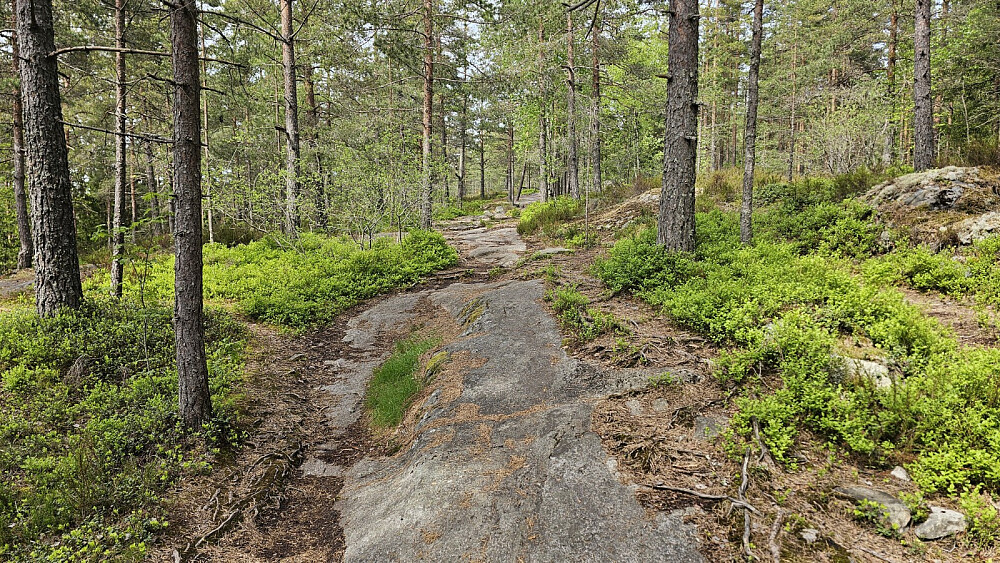 Veldig lettgått sti på ryggen av åsen