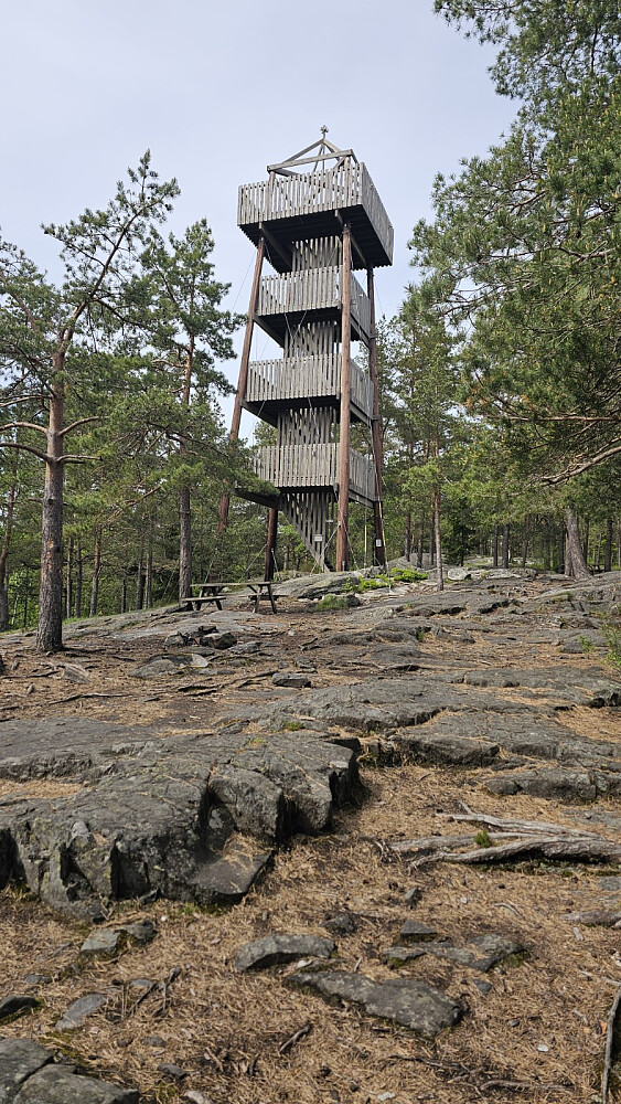 Flott utkikkstårn rett ved Tårnåsen