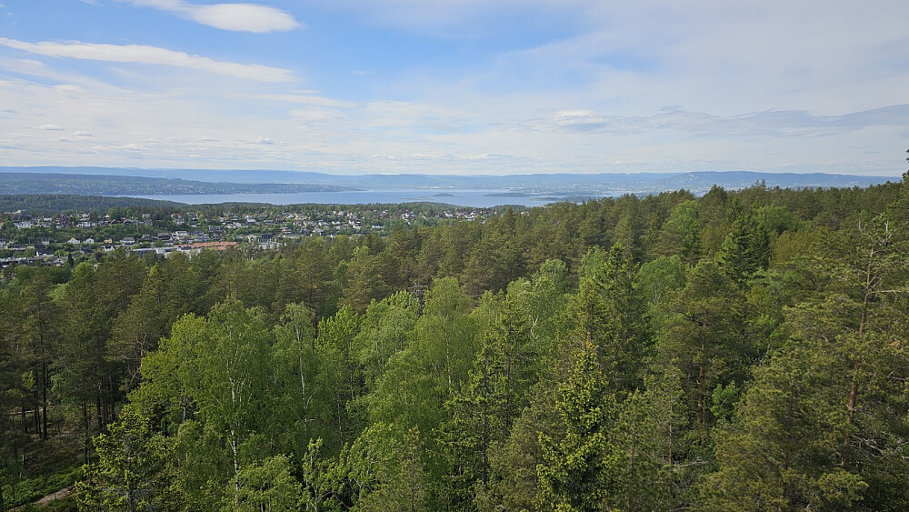 Utsikt mot Oslo fra tårnet