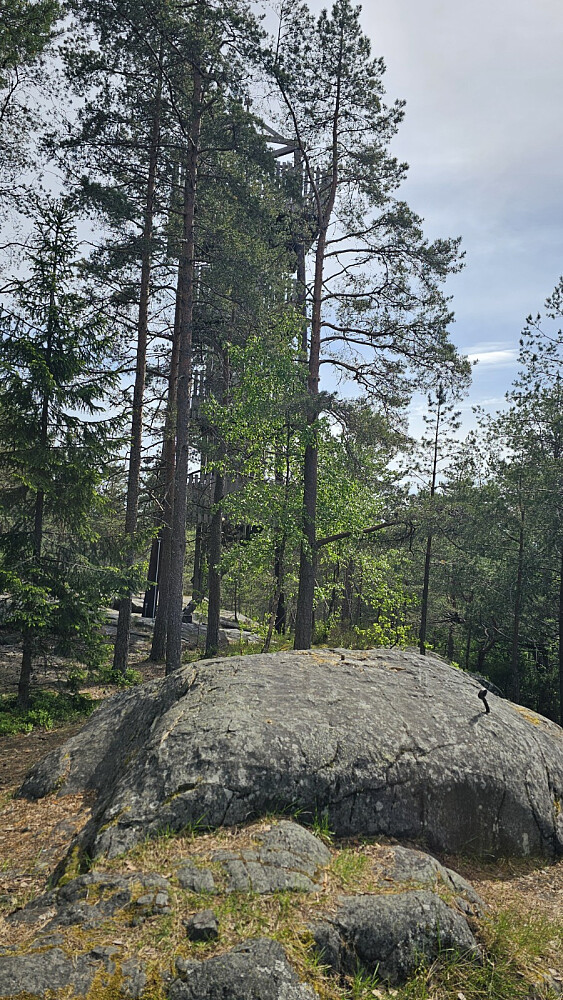 Jeg tror nok primærfaktoren er en meter på Tårnåsen