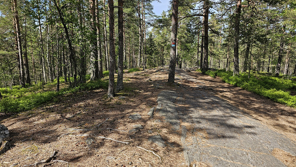 Høyeste punkt på Grønliåsen