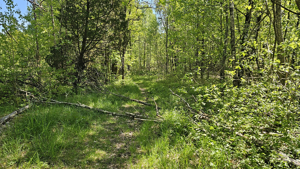 Startet inn på grei sti