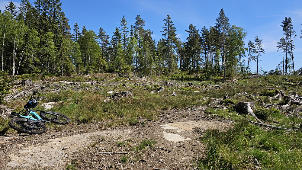 Her måtte jeg gå i hogstfeltet siste biten opp og sykkelen fikk ta seg en pause