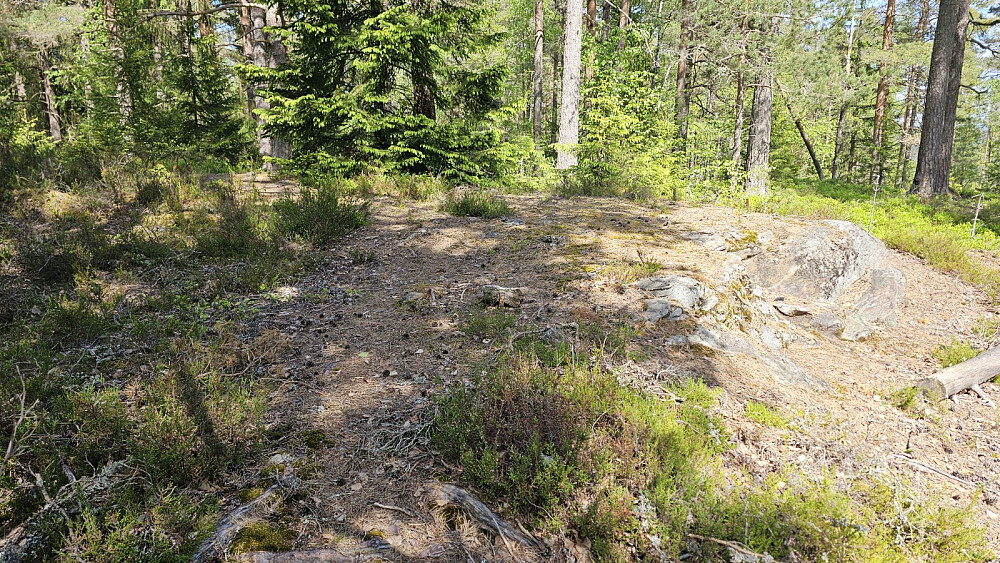 Høyeste punkt på Furuåsen
