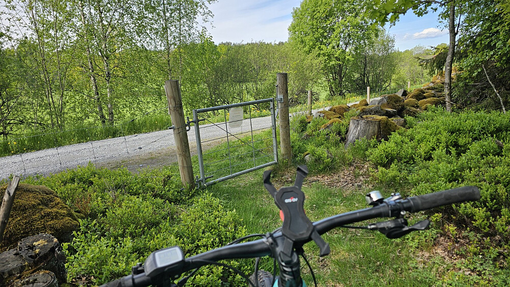Endelig tilbake på vei. Stiene var litt for rufsete til at det ble skikkelig moro