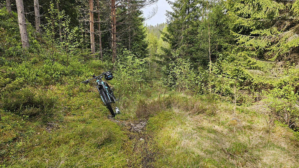Jeg kunne sykle et stykke opp stien, men den ble ganske snart for bratt til å kunne sykles