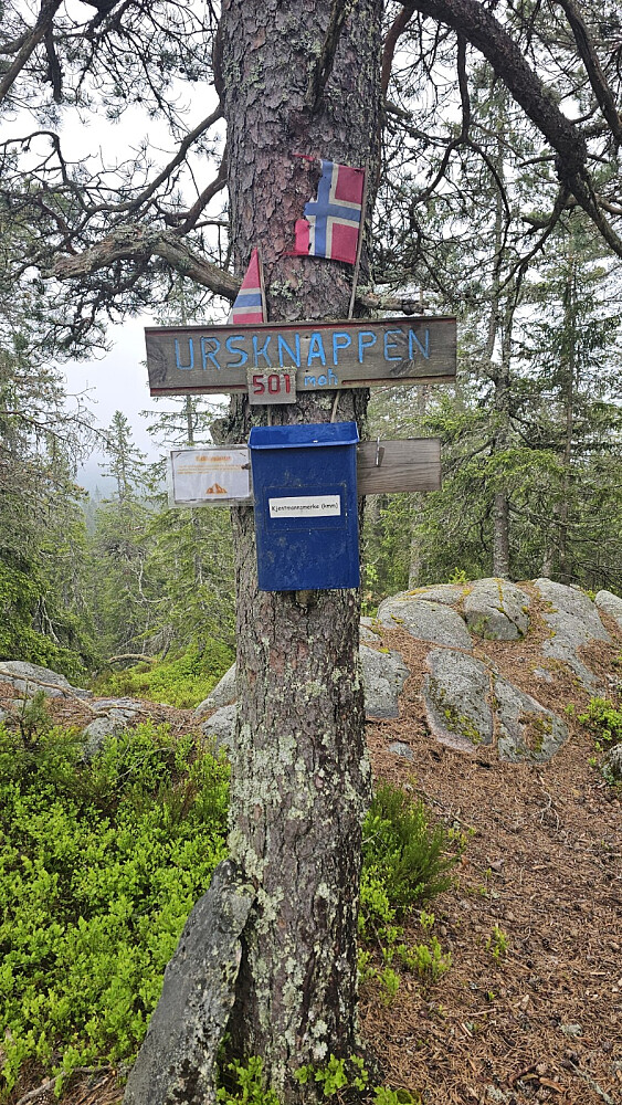 Ikke tvil om at jeg er på toppen her