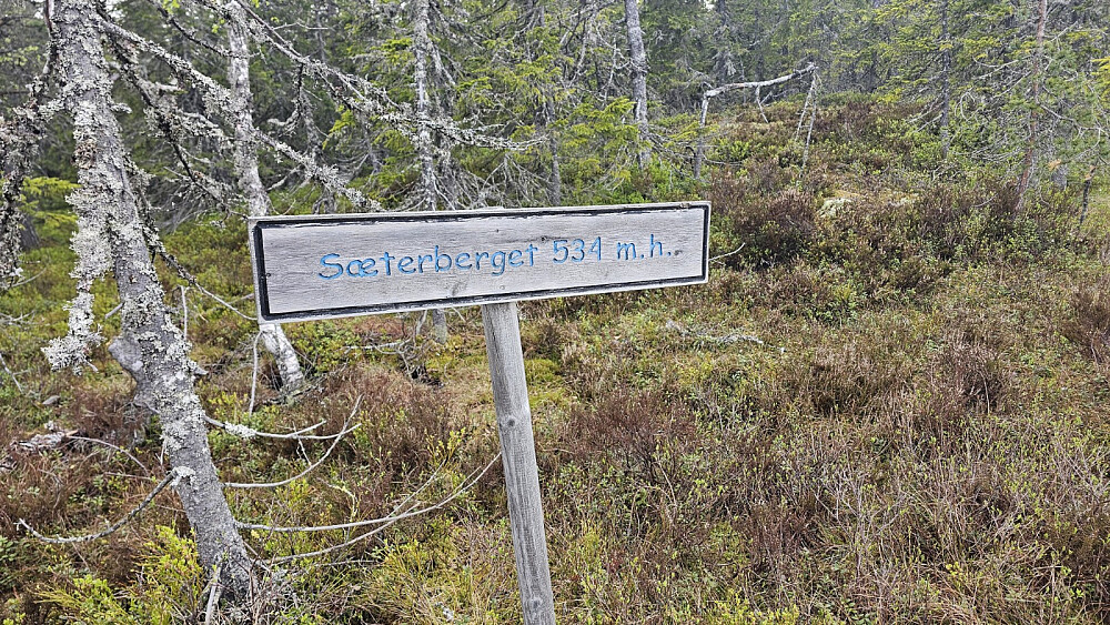 Skilt ved veien, men ingen sti den korte turen inn til toppen