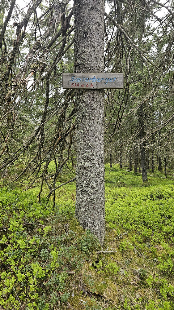 Skilt på høyeste punkt