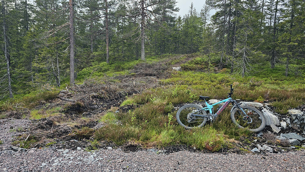 Jeg la igjen sykkelen og gikk den korte biten bort til Svarttjernberget
