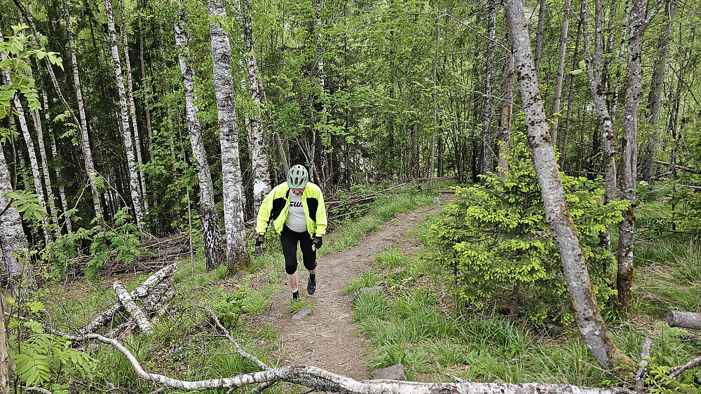Turen opp Pinnikhaugen er ikke lang, men bratt nok når du har vært på farten i 14 timer