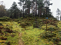 Starten på stien opp til Kannikenuten