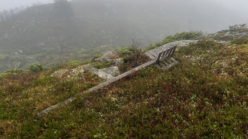 En slagen trigpunkt-stang på knausen markert med høyde 380,6 moh