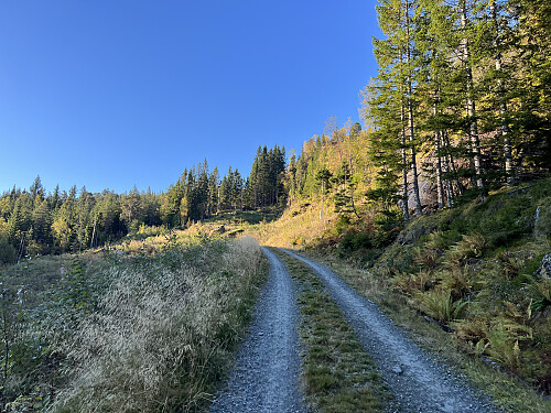 Anleggsveien opp til Kulset