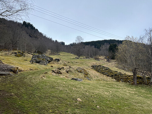 Fint og åpent terreng fra Løn og oppover mot Åsknappen