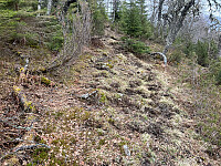 Hjortetråkket/stien jeg fulgte mot Åsknappen