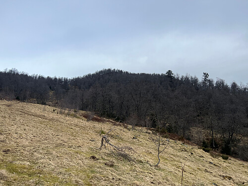 Åsknappen nærmer seg