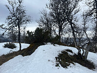 Ingen tvil om hva som er høyeste punkt på Åsknappen