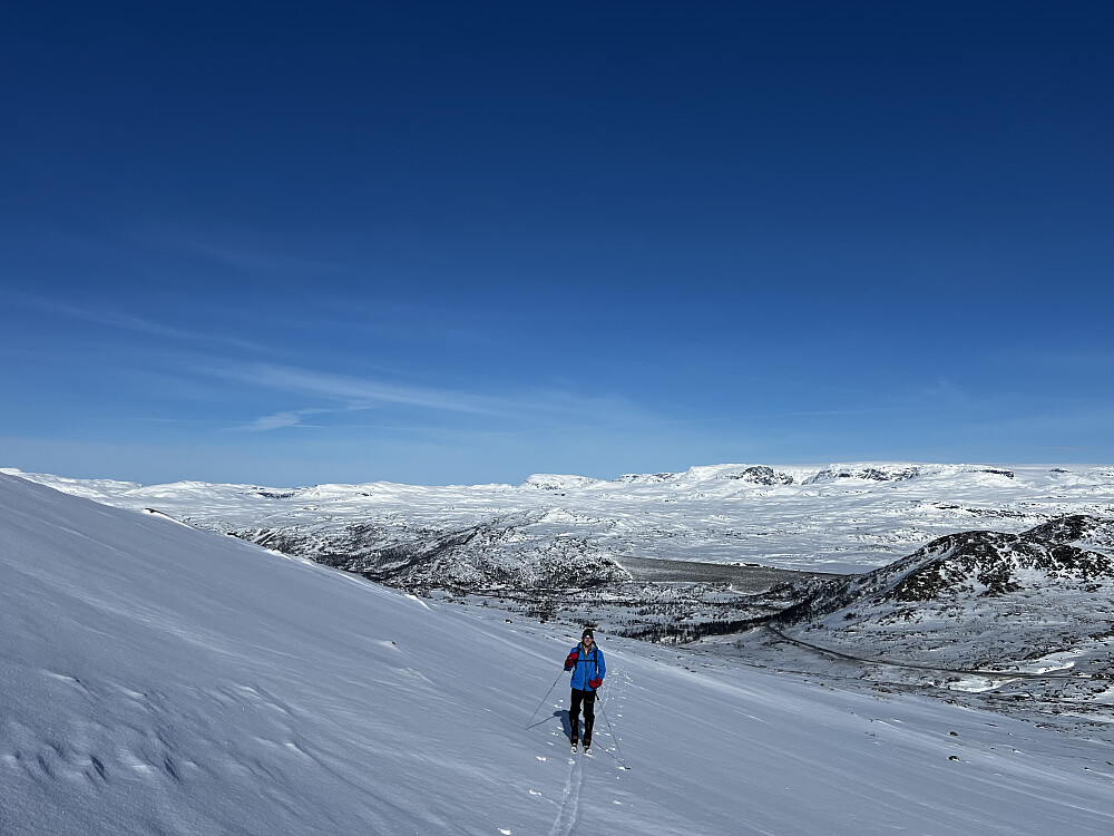 Nydelig dag på Hardangervidda