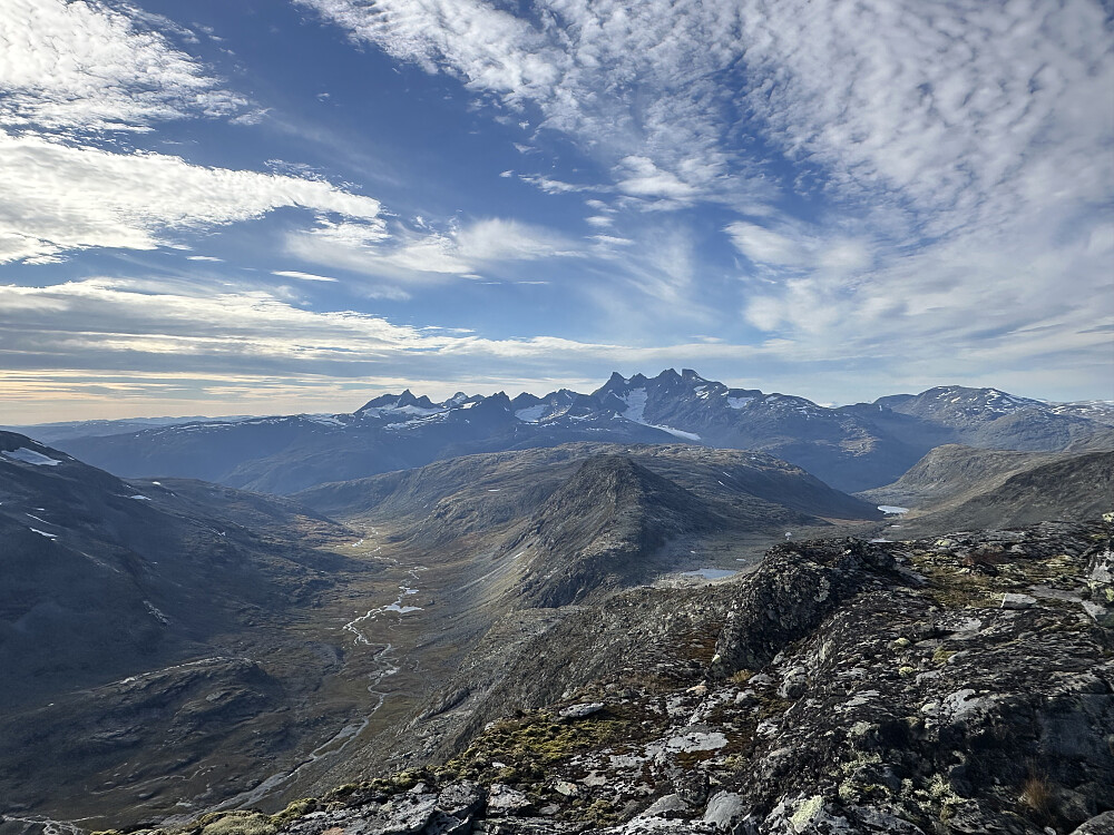 Fleskedalen