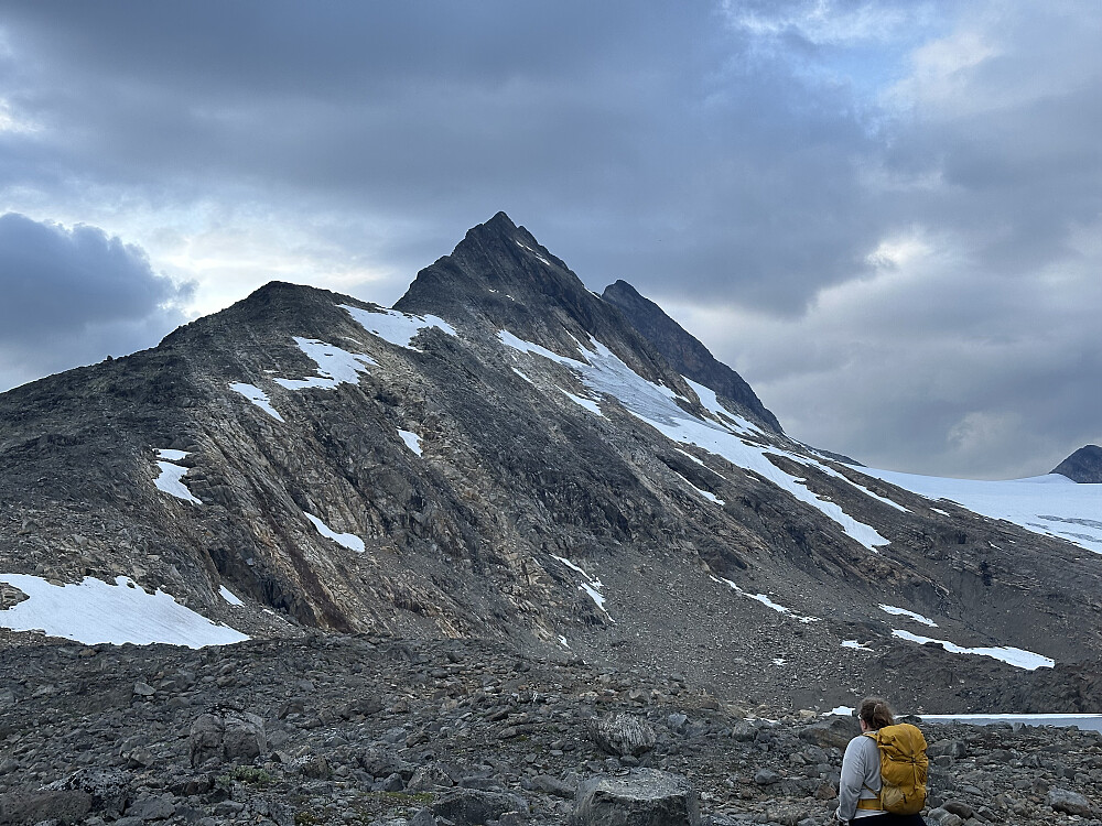 Imponerende dette her. Vi har god tid.