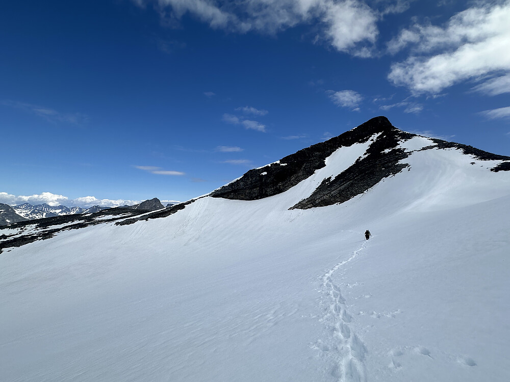 Spor til etterfølge