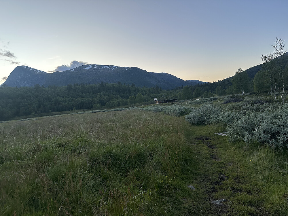 Vettismorki lettgått