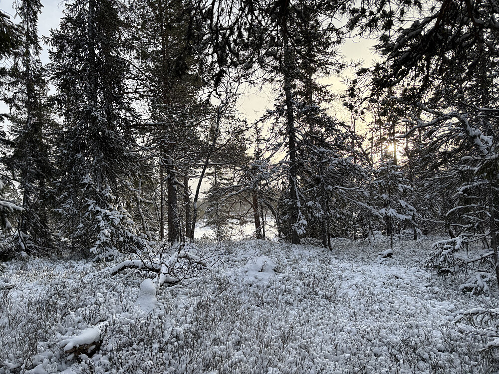 Mot Nordre øyvannet - en kremetappe